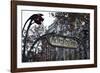 Metropolitain Sign and Entrance to the Paris Metro, Paris, France, Europe-Matthew Frost-Framed Photographic Print