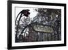 Metropolitain Sign and Entrance to the Paris Metro, Paris, France, Europe-Matthew Frost-Framed Photographic Print