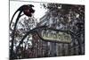 Metropolitain Sign and Entrance to the Paris Metro, Paris, France, Europe-Matthew Frost-Mounted Photographic Print