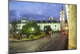 Metropolitan Cathedral at Night-Gabrielle and Michael Therin-Weise-Mounted Photographic Print