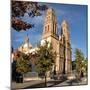 Metropolitan Cathedral, Chihuahua, Mexico, North America-Tony Waltham-Mounted Photographic Print