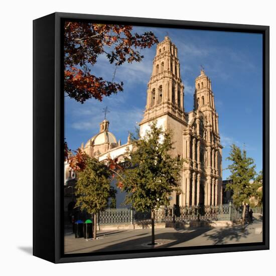 Metropolitan Cathedral, Chihuahua, Mexico, North America-Tony Waltham-Framed Stretched Canvas