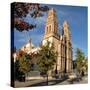 Metropolitan Cathedral, Chihuahua, Mexico, North America-Tony Waltham-Stretched Canvas