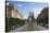 Metropolitan Cathedral in Piata Victoriei, Timisoara, Banat, Romania, Europe-Ian Trower-Stretched Canvas