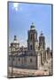 Metropolitan Cathedral, Mexico City, Mexico D.F., Mexico, North America-Richard Maschmeyer-Mounted Photographic Print