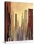 Metropolitan View-Gregory Lang-Stretched Canvas