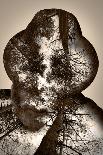 Collage of the Man in Eyepieces and A Tree-metrs-Photographic Print