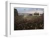 Mets Fans Bombarding the Field-null-Framed Photographic Print