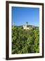 Metternich Castle About Vineyards, Beilstein, Moselle River, Rhineland-Palatinate, Germany-Chris Seba-Framed Photographic Print