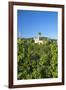 Metternich Castle About Vineyards, Beilstein, Moselle River, Rhineland-Palatinate, Germany-Chris Seba-Framed Photographic Print