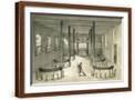 Brown Frame