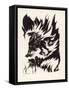 Metzengerstein, the Fiery Horse-Arthur Rackham-Framed Stretched Canvas