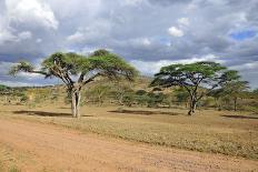 African Landscape-meunierd-Framed Photographic Print