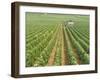 Meursault Genevrieres Premier Cru Vineyard, Cote De Beaune, France, Europe-Michael Short-Framed Photographic Print