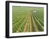 Meursault Genevrieres Premier Cru Vineyard, Cote De Beaune, France, Europe-Michael Short-Framed Photographic Print