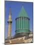 Mevlana Muzesi, Konya, Anatolia, Turkey Minor, Eurasia-Ryan Peter-Mounted Photographic Print