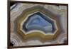 Mexican Banded Agate Quartzsite, Arizona-Darrell Gulin-Framed Photographic Print