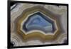 Mexican Banded Agate Quartzsite, Arizona-Darrell Gulin-Framed Photographic Print