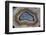 Mexican Banded Agate Quartzsite, Arizona-Darrell Gulin-Framed Photographic Print