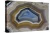 Mexican Banded Agate Quartzsite, Arizona-Darrell Gulin-Stretched Canvas