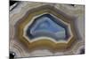 Mexican Banded Agate Quartzsite, Arizona-Darrell Gulin-Mounted Photographic Print