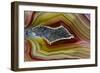 Mexican Banded Agate Quartzsite, Arizona-Darrell Gulin-Framed Photographic Print