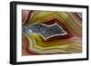 Mexican Banded Agate Quartzsite, Arizona-Darrell Gulin-Framed Photographic Print