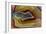 Mexican Banded Agate Quartzsite, Arizona-Darrell Gulin-Framed Photographic Print