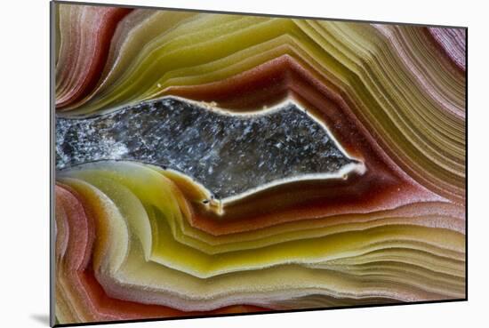 Mexican Banded Agate Quartzsite, Arizona-Darrell Gulin-Mounted Photographic Print