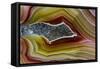 Mexican Banded Agate Quartzsite, Arizona-Darrell Gulin-Framed Stretched Canvas