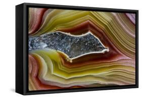 Mexican Banded Agate Quartzsite, Arizona-Darrell Gulin-Framed Stretched Canvas