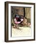 Mexican Beaded Lizard, Native to Pacific Coastal Mexico-David Northcott-Framed Premium Photographic Print