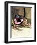 Mexican Beaded Lizard, Native to Pacific Coastal Mexico-David Northcott-Framed Photographic Print