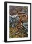 Mexican Burrowing Python (Loxocemus Bicolour), Loxocemidae-null-Framed Premium Giclee Print