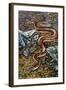 Mexican Burrowing Python (Loxocemus Bicolour), Loxocemidae-null-Framed Giclee Print