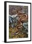 Mexican Burrowing Python (Loxocemus Bicolour), Loxocemidae-null-Framed Giclee Print