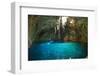 Mexican Cenote, Sinkhole-dubassy-Framed Photographic Print