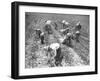 Mexican Cotton Pickers-null-Framed Photographic Print