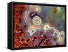 Mexican Crazy Lace Agate-Steve Terrill-Framed Stretched Canvas