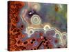Mexican Crazy Lace Agate-Steve Terrill-Stretched Canvas