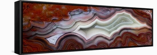 Mexican Crazy Lace Agate-Darrell Gulin-Framed Stretched Canvas