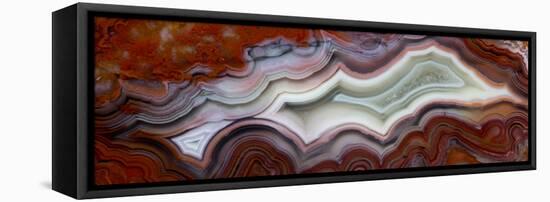 Mexican Crazy Lace Agate-Darrell Gulin-Framed Stretched Canvas