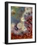 Mexican Crazy Lace Agate-Steve Terrill-Framed Photographic Print