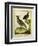 Mexican Crested Quail and the Philippines Quail-Georges-Louis Buffon-Framed Giclee Print