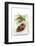 Mexican Cusine-Fabio Petroni-Framed Photographic Print