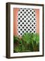 Mexican Fan Palms-Kali Wilson-Framed Art Print