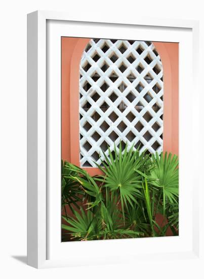 Mexican Fan Palms-Kali Wilson-Framed Art Print