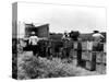 Mexican Farm Laborers-null-Stretched Canvas