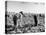Mexican Farm Workers Harvesting Beets-J^ R^ Eyerman-Stretched Canvas
