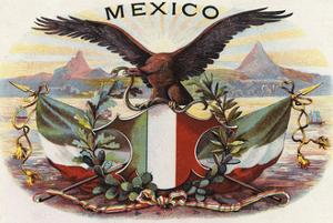 Affordable Mexican Flags Posters for sale at AllPosters.com